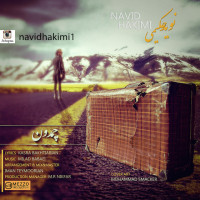 Navid Hakimi - Chamedoon