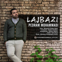 Pedram Mohammadi - Lajbazi