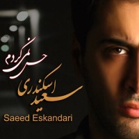 Saeed Eskandari - Hes Nemikardam
