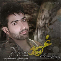 Vahid Dendi Ft Mohammad Shams - Gharibeh