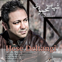 Shahab Mahmoudi - Hese Deltangi