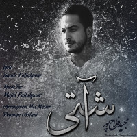 Majid Falahpour - Ashti