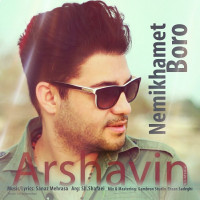 Arshavin - Nemikhamet Boro