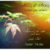 Amir Molaei - Zendegi Ay Zendegi