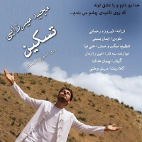 Majid Mirzaei - Taskin