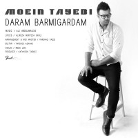 Moein Tayebi - Daram Barmigardam