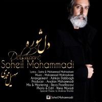 Soheil Mohammadi - Del Shore