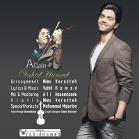 Vahid Hamed - Baz Ham