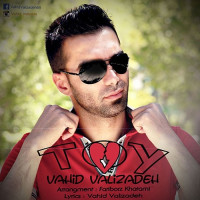 Vahid Valizadeh - Toy