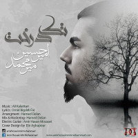 Amir Hossein Mir Mohammad - Tak Derakht
