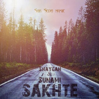 Amir Shaygan Ft Sunami - Sakhte