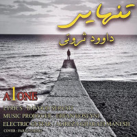 Davood Servati - Tanhaei