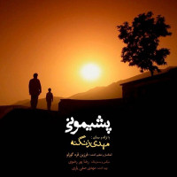 Mehdi Zanganeh - Pashimoni
