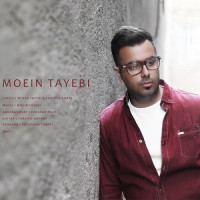 Moein Tayebi - Bahooneh