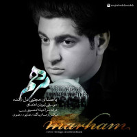 Mojtaba Delzendeh - Marham