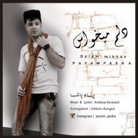 Payam Pasha - Delam Mikhas