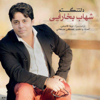 Shahab Bokharaei - Deltangam