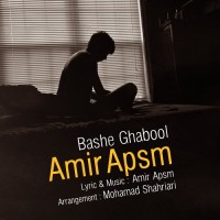 Amir APSM - Bashe Ghabool