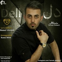 Hamed Gholami - Dell