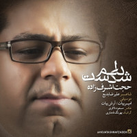 Hojat Ashrafzadeh - Delam Shekast