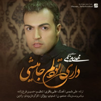 Mehdi Mazangi - Dari Too Delam Ja Mishi