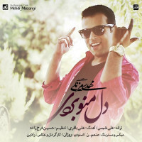 Mehdi Mazangi - Dele Mano Bordi