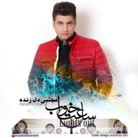 Mojtaba Delzendeh - Saate Khab