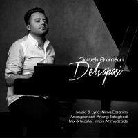 Siavash Ghamsari - Delvapasi