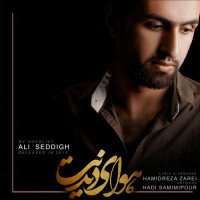 Ali Seddigh - Havaye Didanet