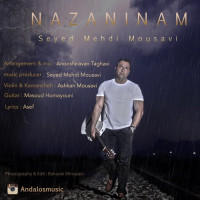 Mehdi Mousavi - Nazaninam