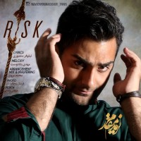 Navid Moghaddam - Risk