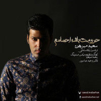 Saeed Mobarhan - Haroomet Bashe Ehsasam