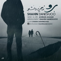 Shahin Daneshjoo - Boro