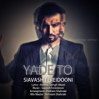 Siavash Fereidooni - Yade To