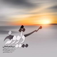 Sina Shabankhani - Divooneh Misham