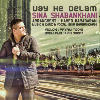 Sina Shabankhani - Vay Ke Delam