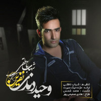 Vahid Dendi Ft Shahab Nateghi - Nefrin