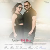 Amin Tm - Bia Bia ( Remix )