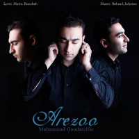 Mohammad Goodarzifar - Arezoo