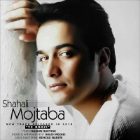 Mojtaba Shah Ali - Ye Roozi