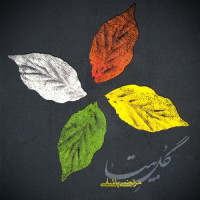 Morteza Pashaei - Gole Bita 2