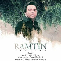 Ramtin Daliran - Taabir