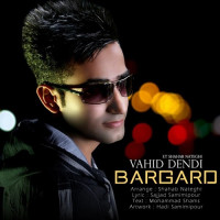 Vahid Dendi Ft Shahab Nateghi - Bargard