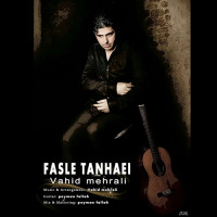 Vahid Mehrali - Fasle Tanhaei