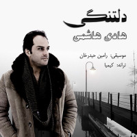 Hadi Hashemi - Deltangi