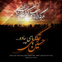 Hossein Tavakoli - Paye Piadeh