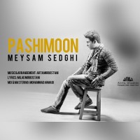 Meysam Sedghi - Pashimoon