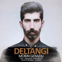 Mobin Geraeili - Deltangi
