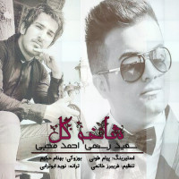 Saeed Rostami Ft Ahmad Mohebi - Shakhe Gol