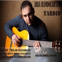 Aria Hamdollahzadeh - Tardid